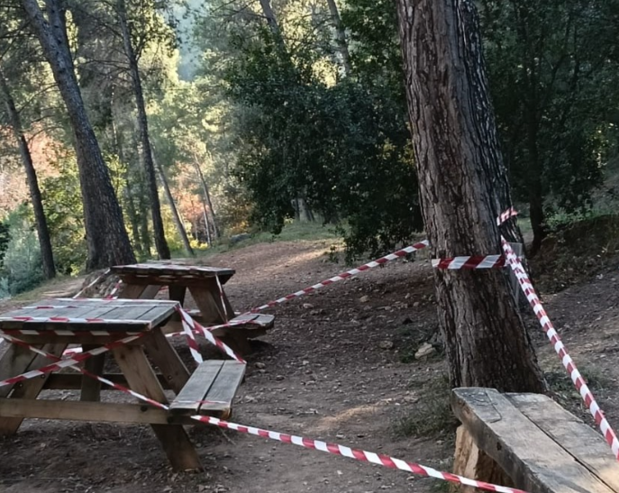 Mesures Davant La Pesta Porcina Africana